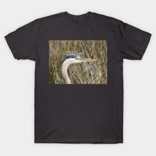 Great Blue Heron T-Shirt